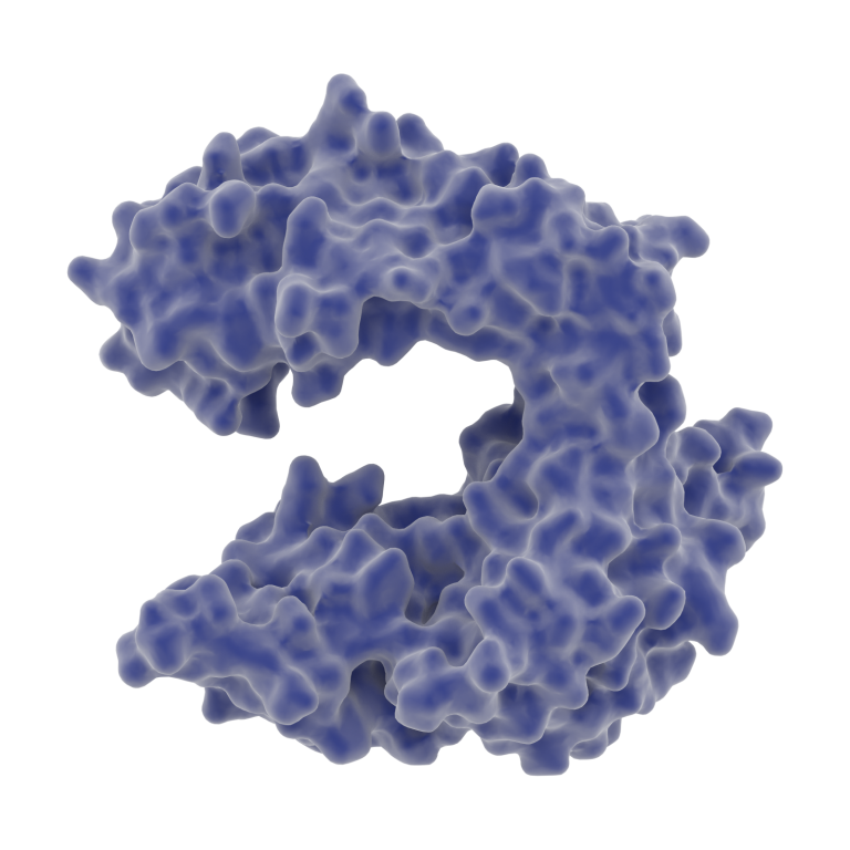DNA Polymerase
