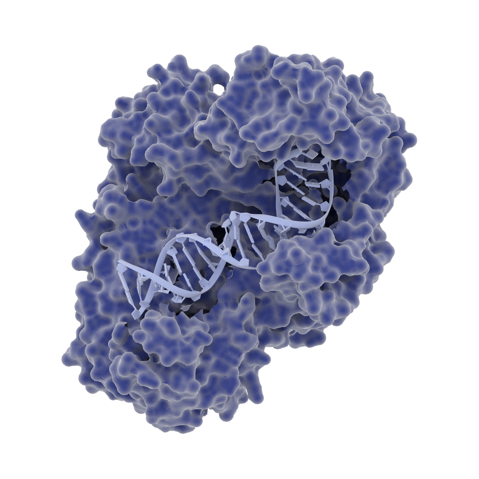 Open Enzyme Collection Open Bioeconomy Lab