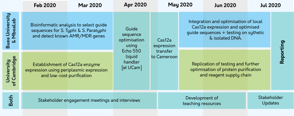 Cas12 Project Work Plan