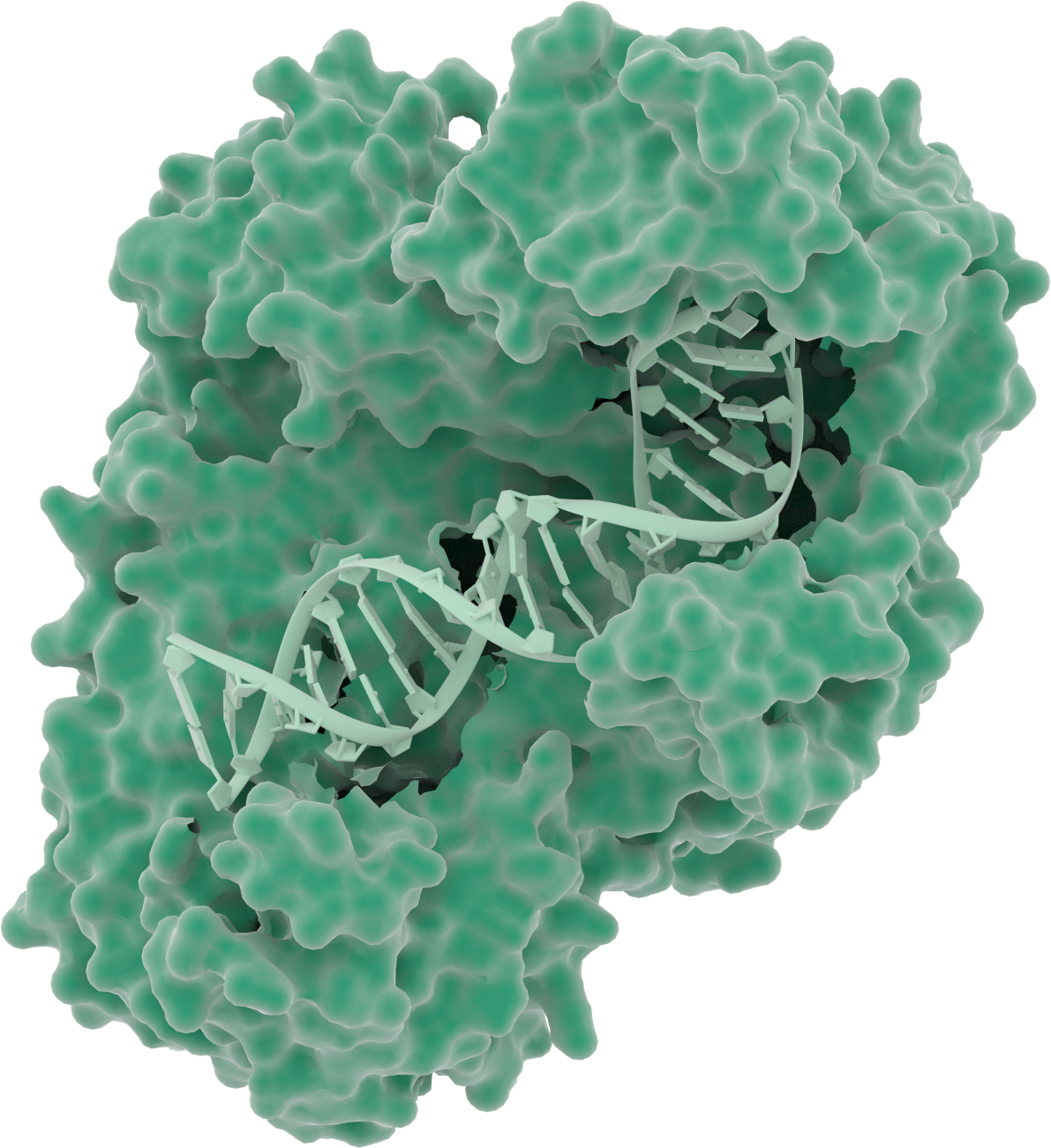 Open Enzyme Expression Guide - Open Bioeconomy Lab