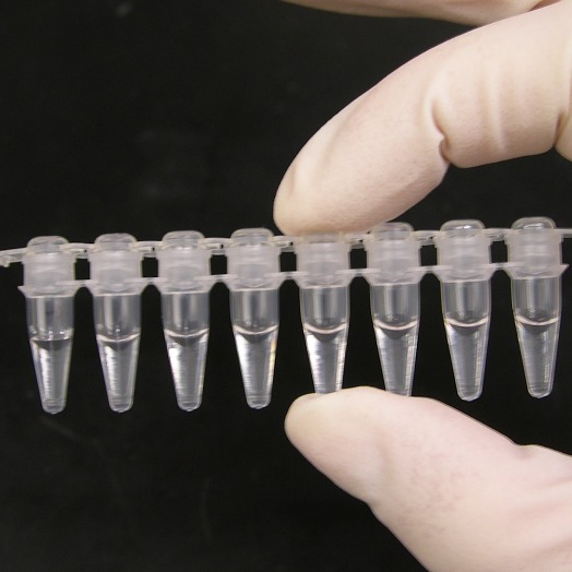 Open Enzyme Expression Guide – Open Bioeconomy Lab